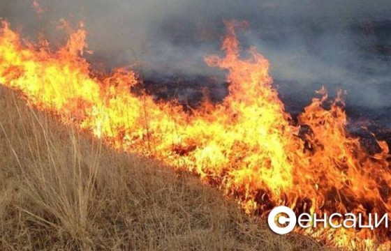 Хашааныхаа өвсийг шатааснаас гал алдаж байна