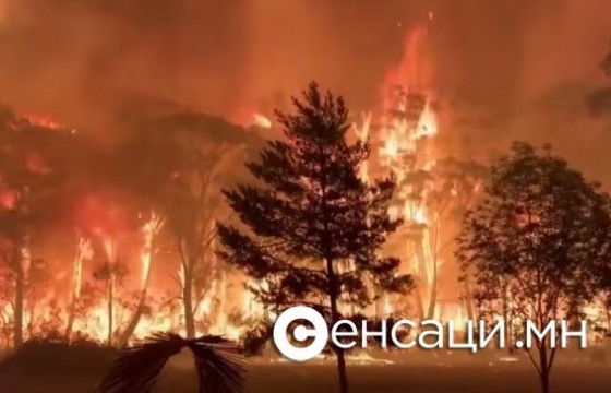 Сөгнөгөрт түймэр гарч ЗУРГААН га орчим талбай шатжээ❗❗❗