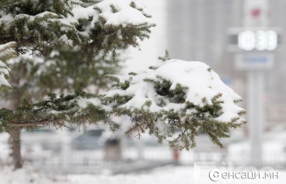 Зарим нутгаар нойтон цас орж, цасан шуурга шуурна