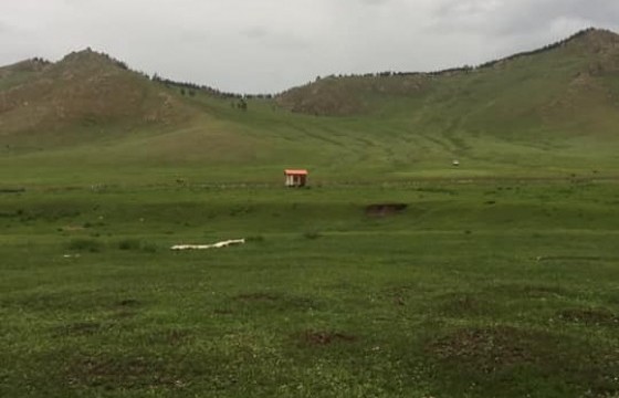 Гурван настай хүүхдийн цогцсыг Ар гүнтэд ил тавьсан байжээ