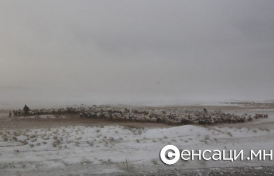 Малаа хариулахаар явганаар гараад сураггүй болсон малчны цогцсыг олжээ