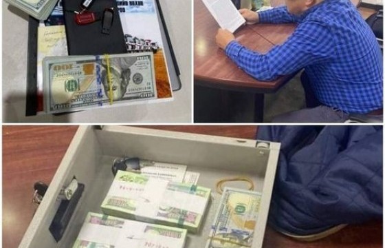 Д.Хаянхярвааг 48 цаг саатуулахаар болжээ