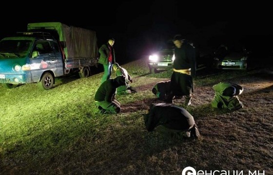 Малын хулгайн гэмт хэрэг үйлдсэн бүлэг этгээдийг баривчилжээ