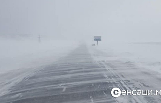 Сэрэмжлүүлэг:Цасан шуурга шуурч, эрс хүйтэрнэ