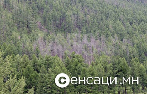 Самарт яваад сураггүй болсон 15 иргэнийг эрэн хайж байна