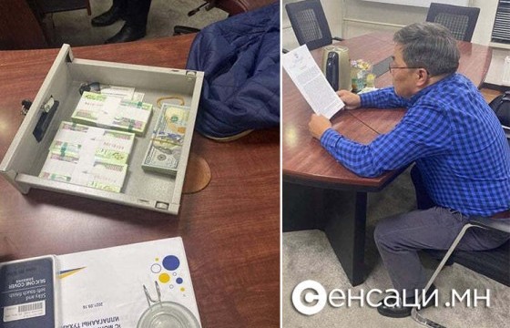 Авлигыг хэргээр хоригдсон Д.Хаянхярвааг суллажээ