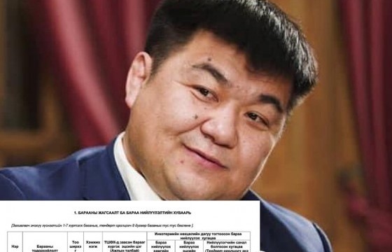 Шилэн Цогоо: Өнөөх л С.Чулуун, түрдээ больж болдоггүй юм уу?